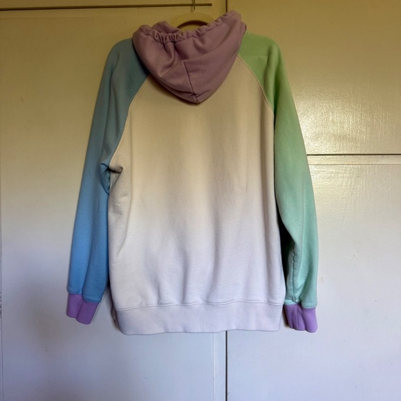 Teddy Fresh x Care Bears Colorblock Hoodie Sweatshirt Size Large - Picture 6 of 8